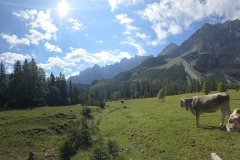 Anlage-37-Kleiner-Ahornboden