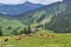 Anlage-24-Almbetrieb